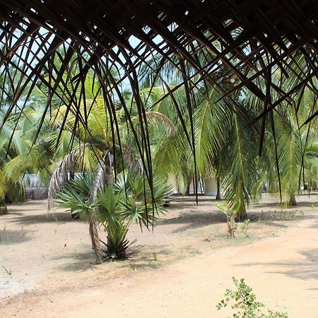 Anawasal Hotel Kalpitiya Buitenkant foto