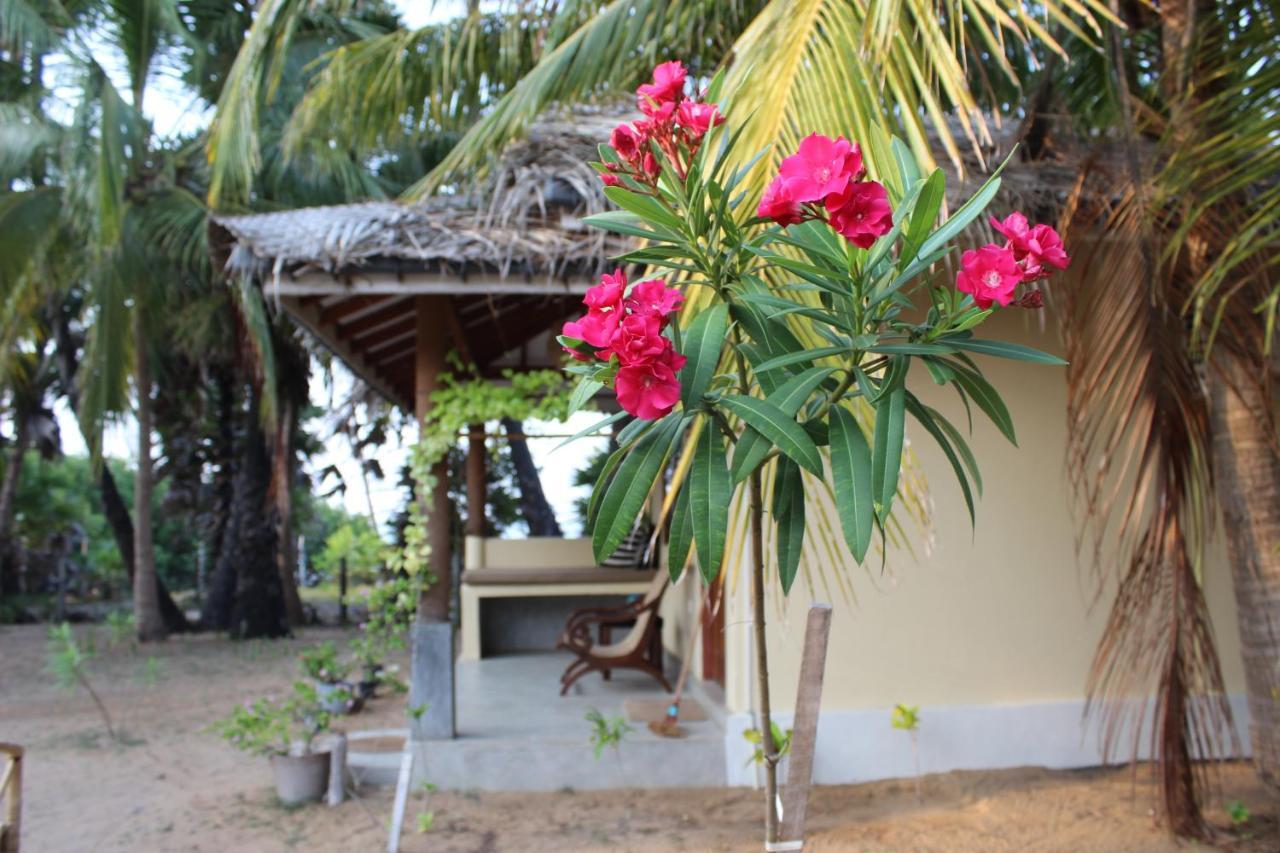 Anawasal Hotel Kalpitiya Buitenkant foto